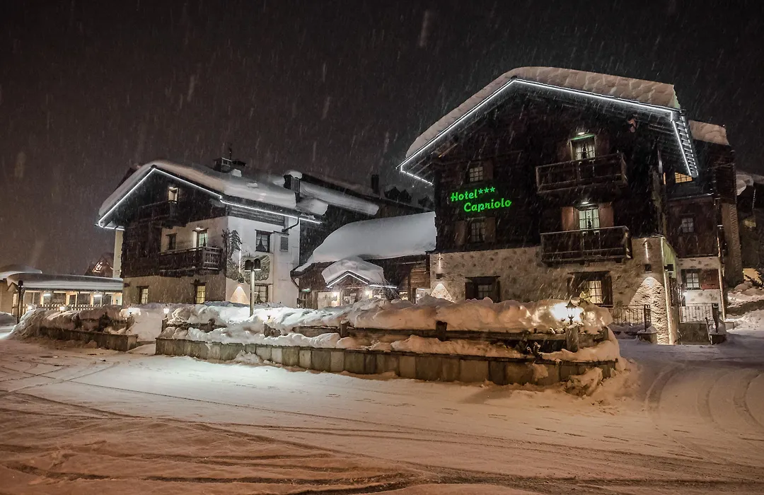 Hotel Capriolo-1